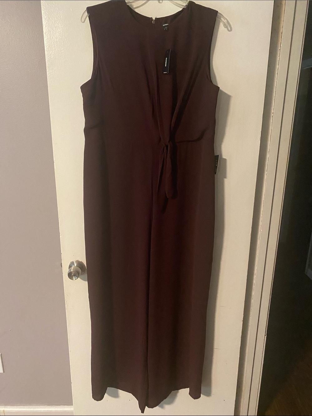 Express Wide-Leg Sleeveless Jumpsuit in Dark Brown